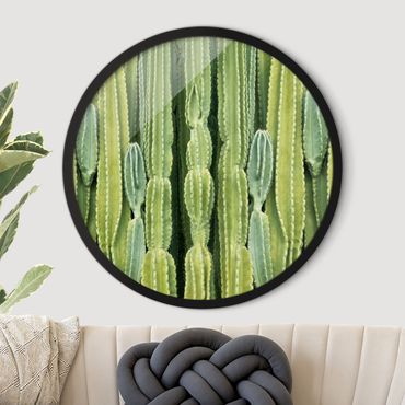 Circular framed print - Cactus Wall