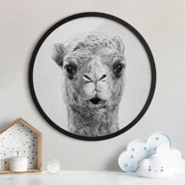 Circular framed print - Camel Konrad Black And White
