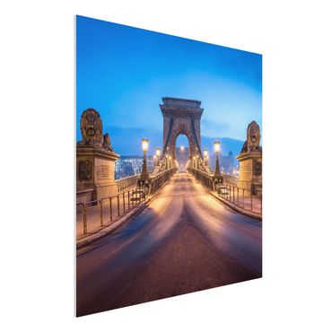 Print on forex - Chain Bridge In Budapest At Night - Square 1:1