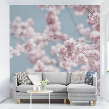 Walpaper - Cherry Blossom Party
