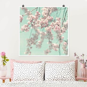 Poster - Dancing Cherry Blossoms On Canvas