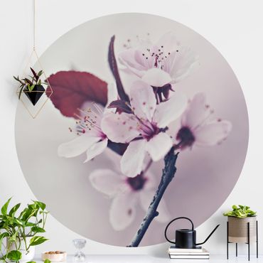 Self-adhesive round wallpaper - Cherry Blossom Branch Antique Pink