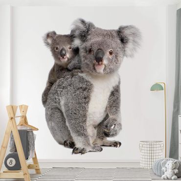 Wallpaper - Koala Bears