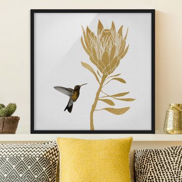 Framed poster - Hummingbird And Tropical Golden Blossom