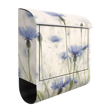 Letterbox - Cornflowers And Grasses In A Field