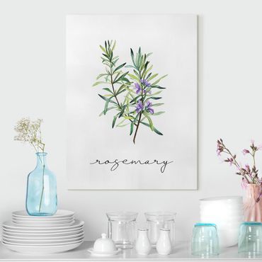 Canvas print - Herbs Illustration Rosemary