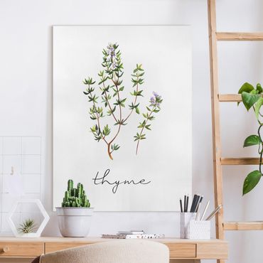 Canvas print - Herbs Illustration Thyme