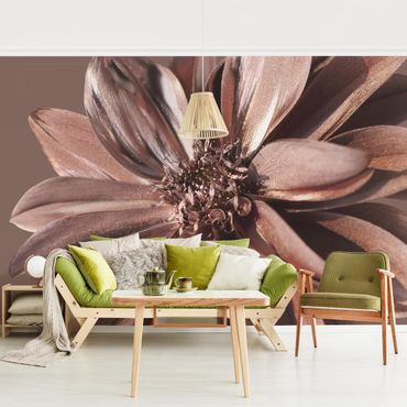 Wallpaper - Copper Golden Dahlia Dream