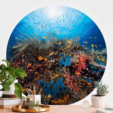 Self-adhesive round wallpaper beach - Lagoon Underwater