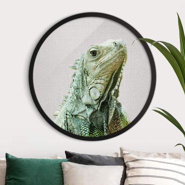 Circular framed print - Iguana Louis