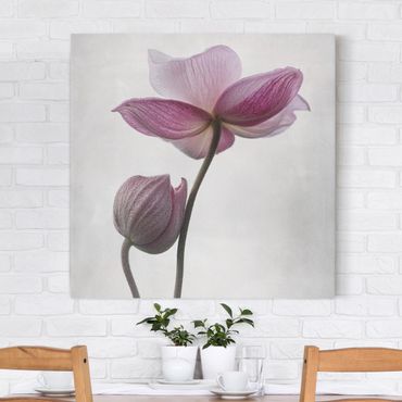 Print on canvas - Anemone In Light Pink