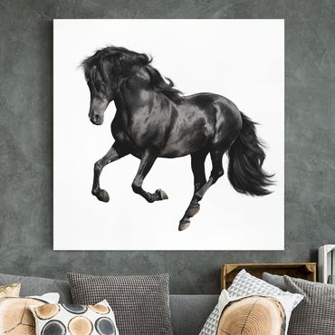 Print on canvas - Arabian Stallion