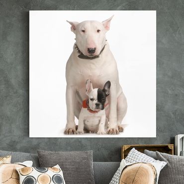 Print on canvas - Bull Terrier and Friend