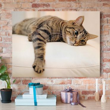 Print on canvas - Cat Chill Out