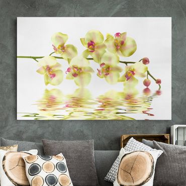 Print on canvas - Dreamy Orchid Waters