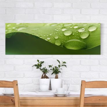 Print on canvas - Drops Of Nature