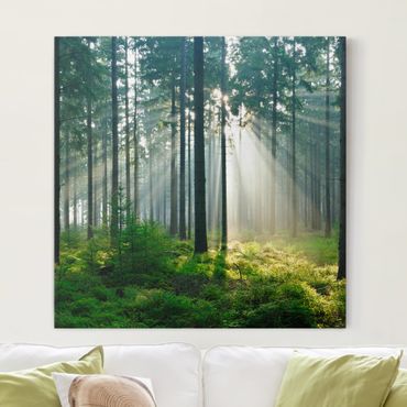 Print on canvas - Enlightened Forest