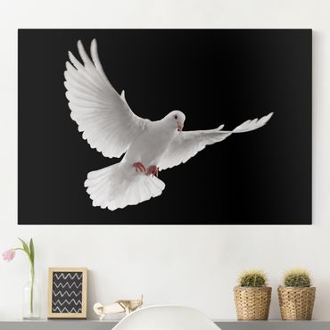 Print on canvas - Dove Of Peace