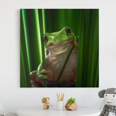 Print on canvas - Merry Frog