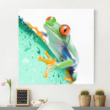 Print on canvas - Frog