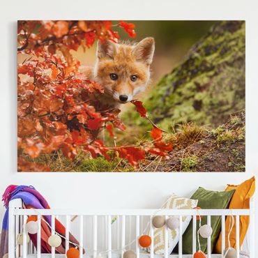 Print on canvas - Fox In Autumn