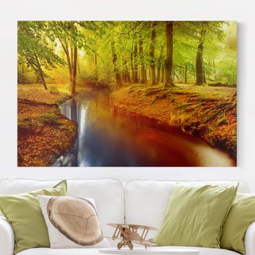 Print on canvas - Autumn Forest