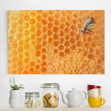 Print on canvas - Honey Bee