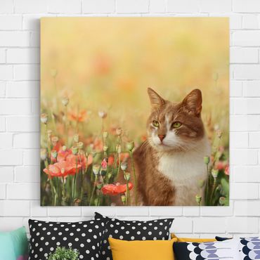 Print on canvas - Cat In A Field Of Poppies