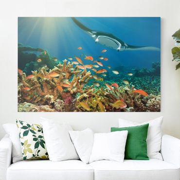 Print on canvas - Coral reef