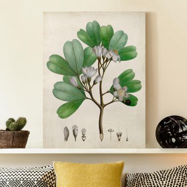 Print on canvas - Deciduous Poster III