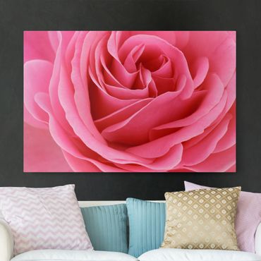 Print on canvas - Lustful Pink Rose