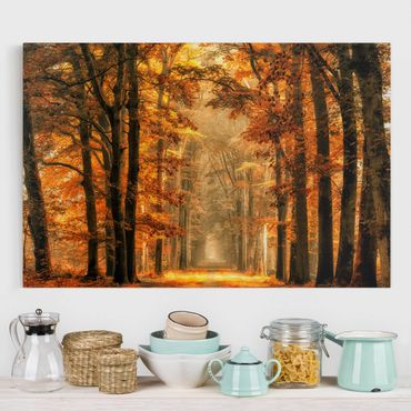 Print on canvas - Enchanted Forest In Autumn