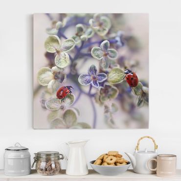 Print on canvas - Ladybird In The Garden