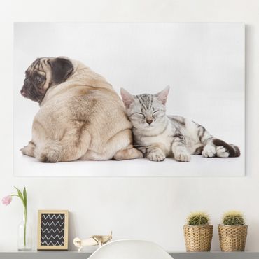 Print on canvas - Puggy And Kitten