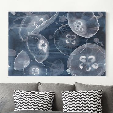 Print on canvas - Moon Jellyfish II