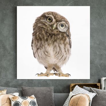 Print on canvas - Curious Owl
