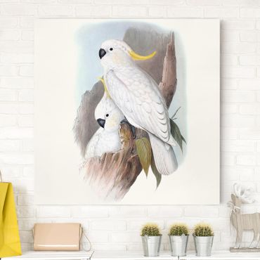 Print on canvas - Pastel Parrots III