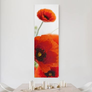 Print on canvas - Radiant Poppies