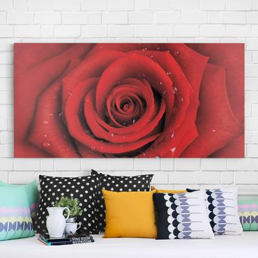 Print on canvas - Red Rose With Water Drops