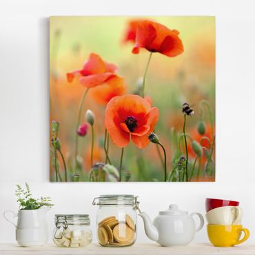 Print on canvas - Red Summer Poppy