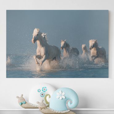 Print on canvas - Herd Of White Horses