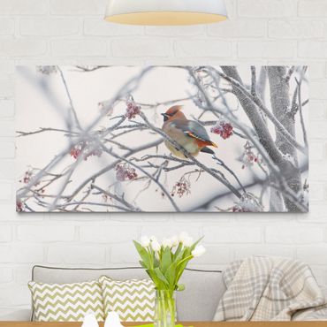 Print on canvas - Waxwing on a Tree