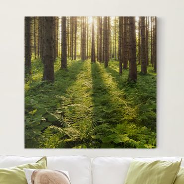 Print on canvas - Sun Rays In Green Forest