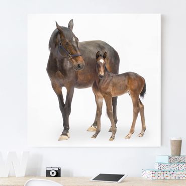 Print on canvas - Trakehner Mare & Foal