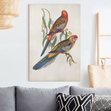 Print on canvas - Tropical Parrot II
