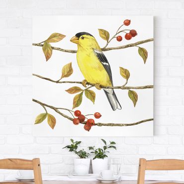 Print on canvas - Birds And Berries - American Goldfinch
