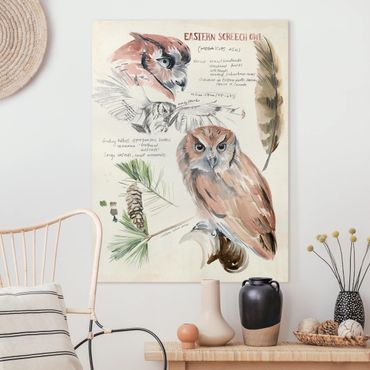 Print on canvas - Wilderness Journal - Owl