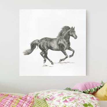 Print on canvas - Wild Horse Trial - Stallion
