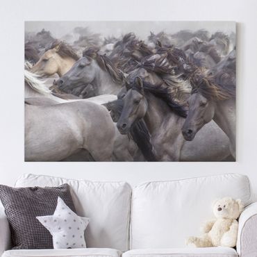 Print on canvas - Wild Horses