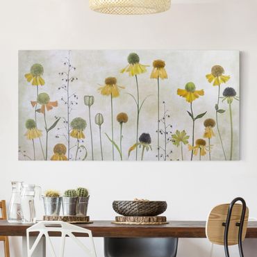Print on canvas - Delicate Helenium Flowers